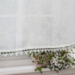 Zazdrostka lniana No 11